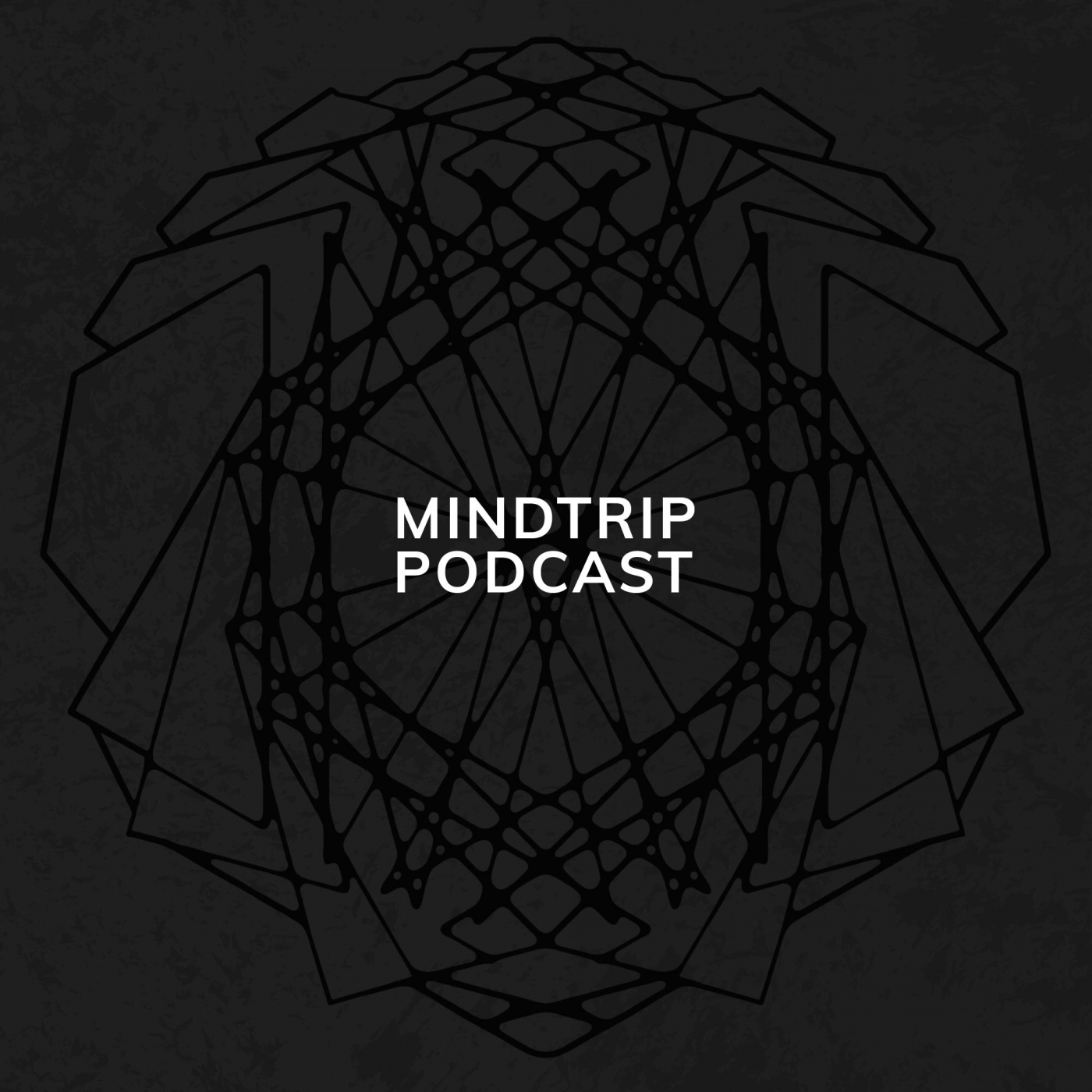 MindTrip Podcast MindTrip Podcast