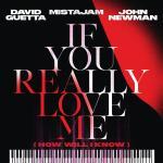 David-Guetta-x-MistaJam-x-John-Newman-If-You-Really-Love-Me-(How-Will-I-Know)-Warner-Music-France
